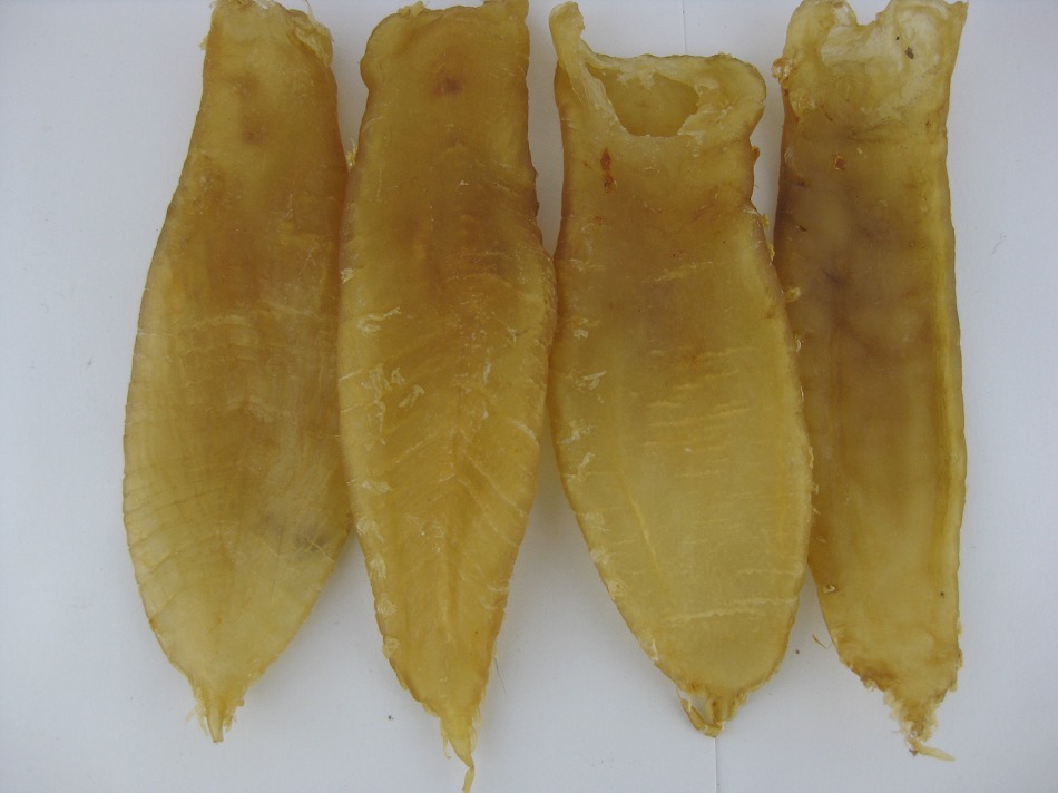上門回收魚膠