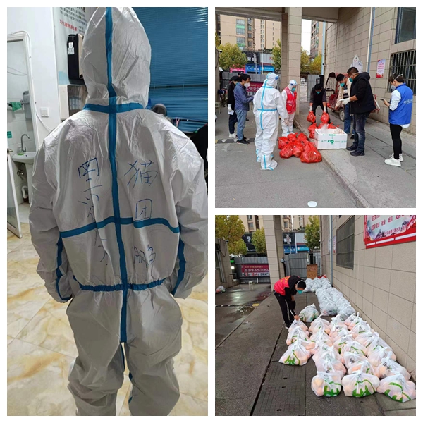 光影魔術手拼圖.jpg 光影魔術手拼圖.jpg