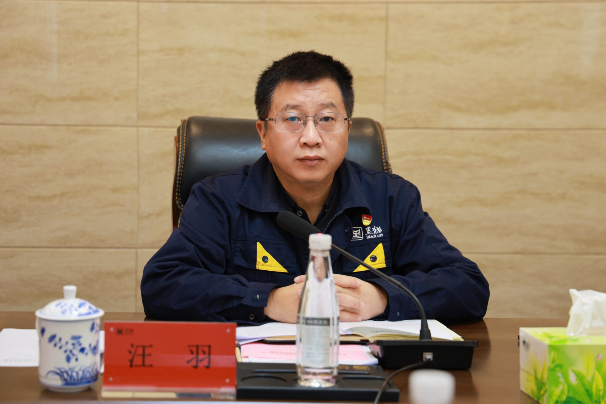 汪羽作總結(jié)講話.jpg