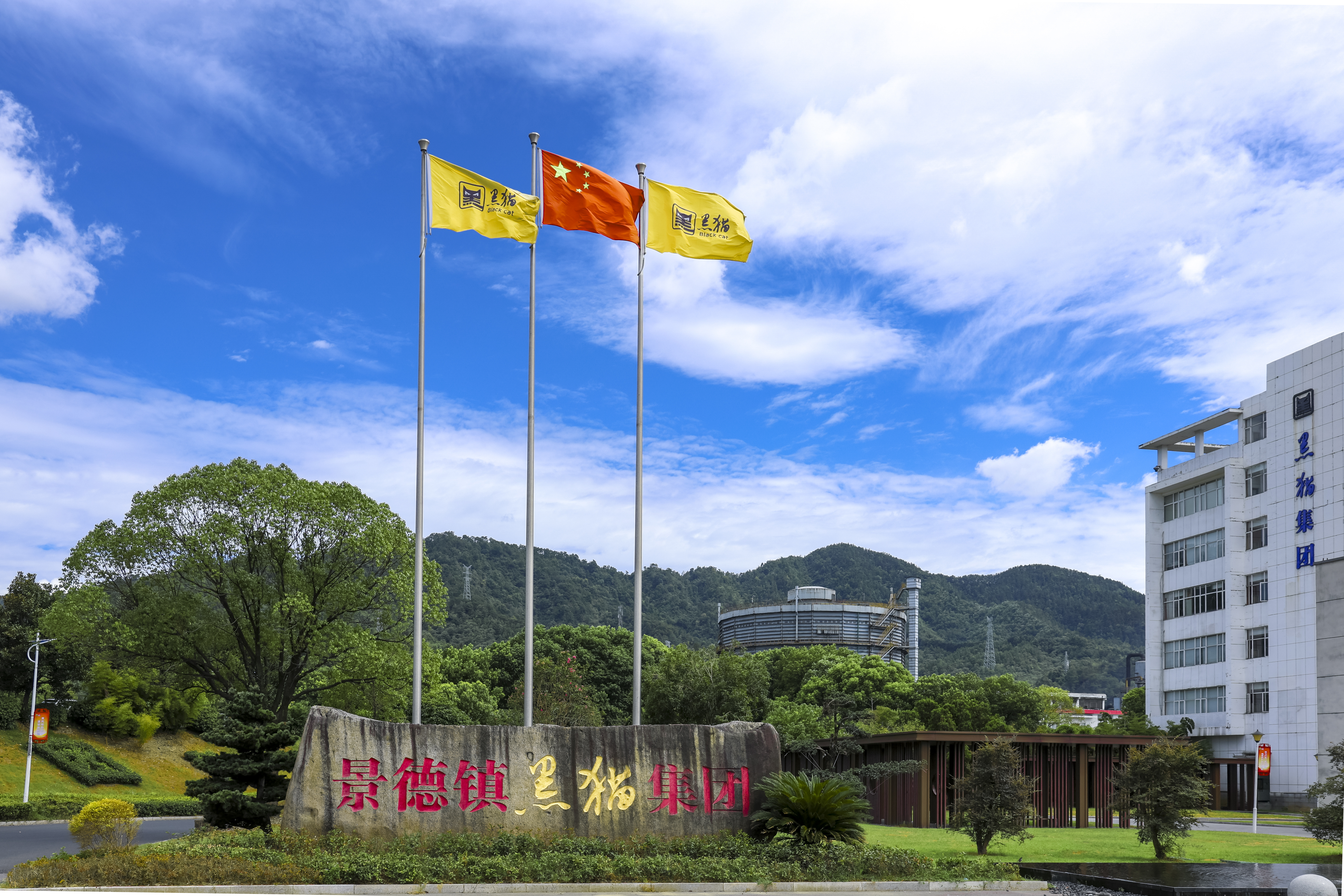 大美黑貓   逐夢(mèng)前行